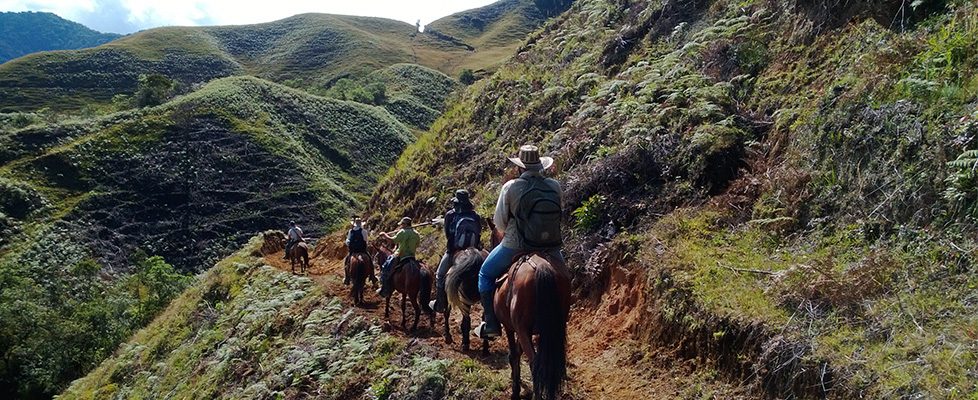 Diagnóstico y Reconocimiento Arqueológico